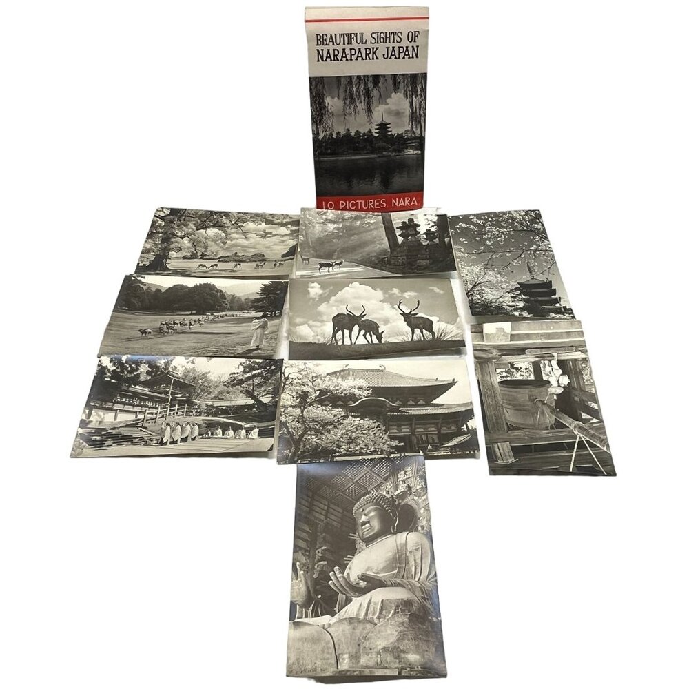 Nara-Park Japan RPPC Postcard Vintage Set of 9 Travel Souvenir Photos 1940s